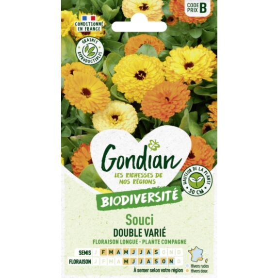 Souci Pacific Beauty Varié - GONDIAN