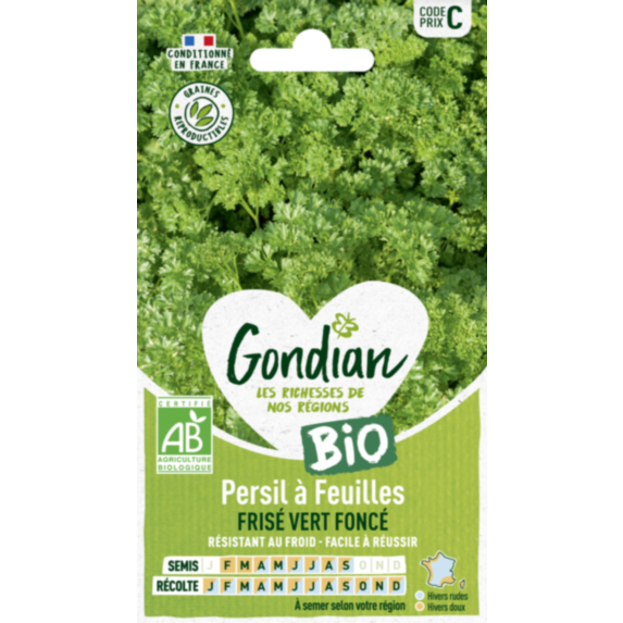 Persil à feuilles Frisé Vert Foncé Bio - GONDIAN