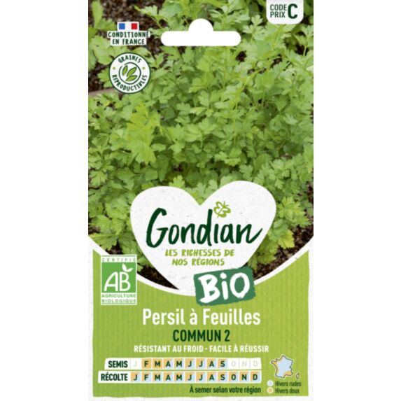 Persil à feuilles Commun 2 Bio - GONDIAN