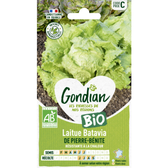 Laitue de Pierre Bénite Bio - GONDIAN