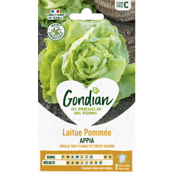 Laitue Appia - GONDIAN
