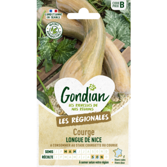 Courge Musquée de Nice à Fruits Longs - GONDIAN