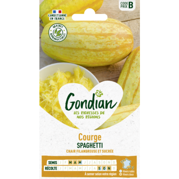 Courge Végétable Spaghetti - GONDIAN