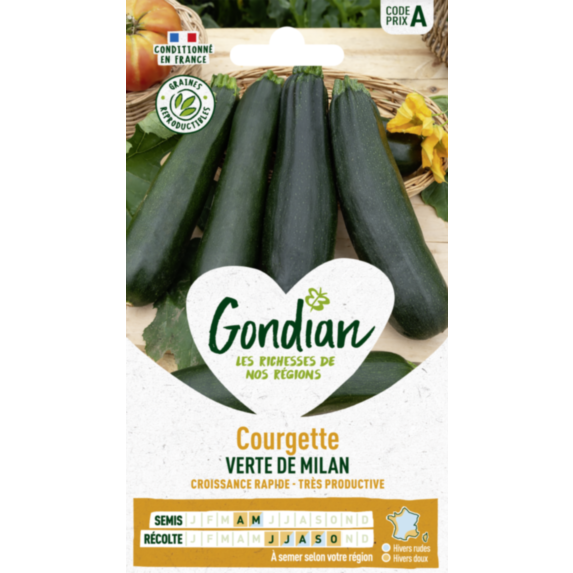 Courgette Black Beauty - GONDIAN
