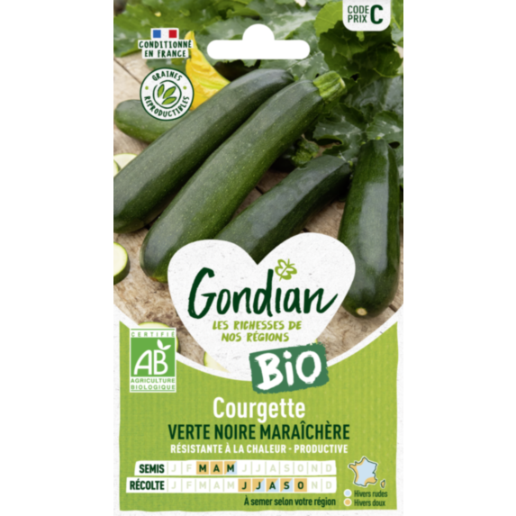 Courgette Verte Noire Maraîchère Bio - GONDIAN