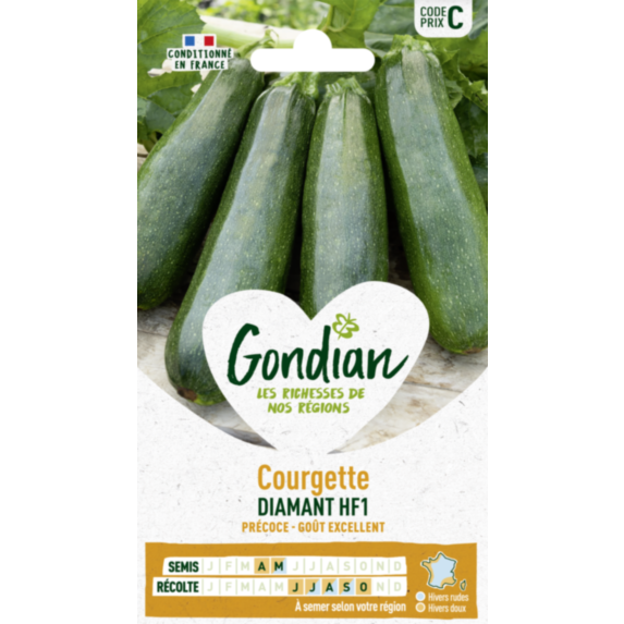 Courgette Diamant HF1 - GONDIAN