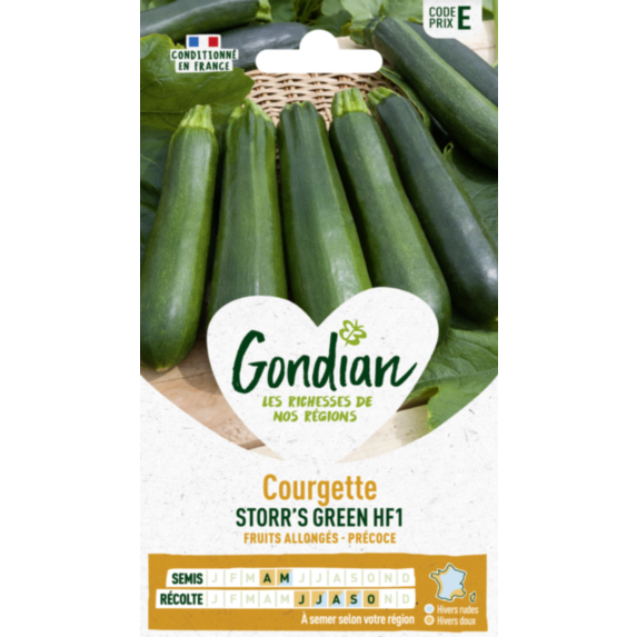 Courgette Storr's Green HF1 - GONDIAN
