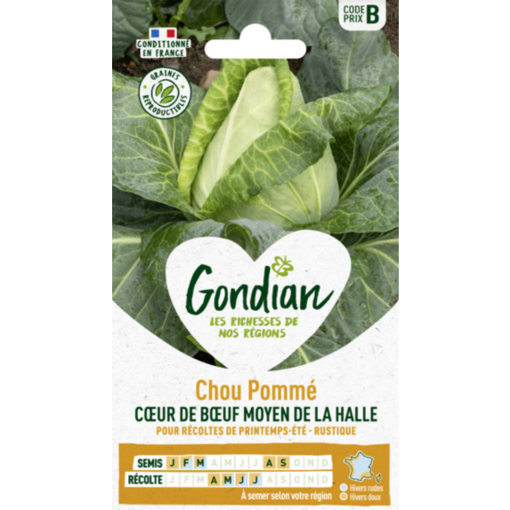 Chou Pommé Cœur de Bœuf Moyen de la Halle - GONDIAN