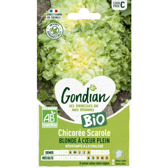 Chicorée Blonde à Cœur Plein Bio - GONDIAN