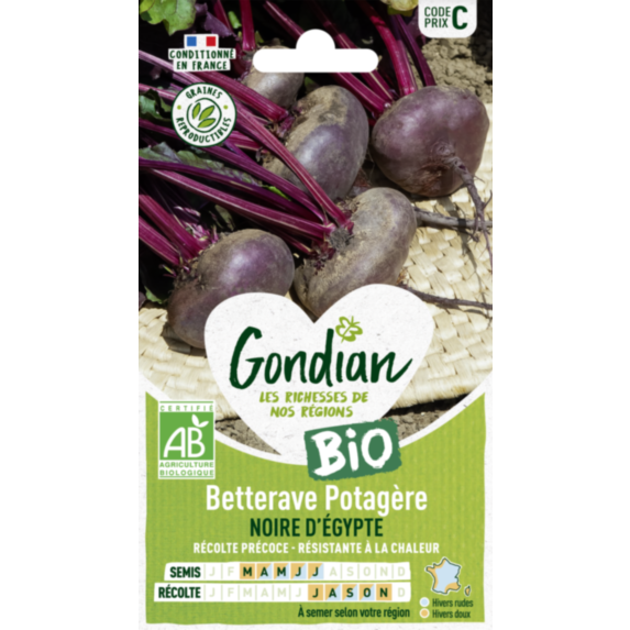 Betterave potagère Noire Plate d'Egypte Bio - GONDIAN