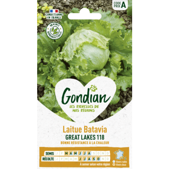 Laitue Great Lakes 118 - GONDIAN