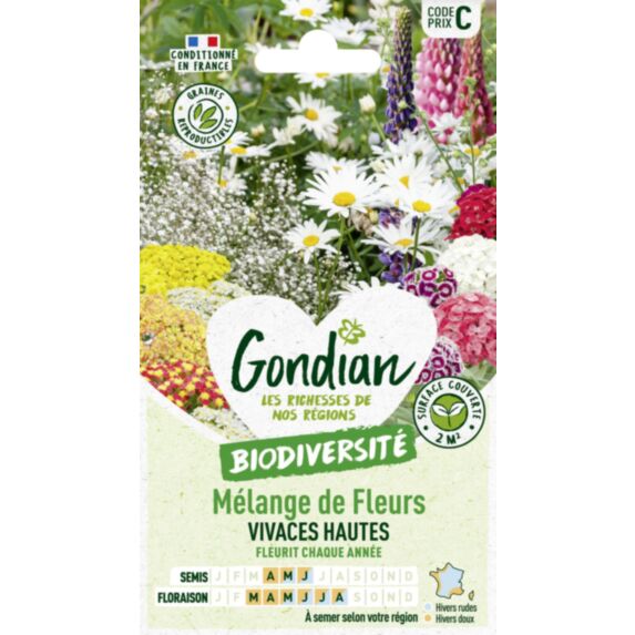 Mélange de fleurs Fleurs Vivaces Hautes - GONDIAN