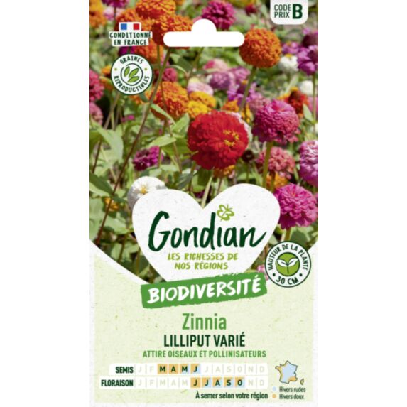 Zinnia Lilliput Varié - GONDIAN
