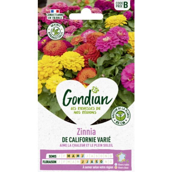 Zinnia de Californie Varié - GONDIAN