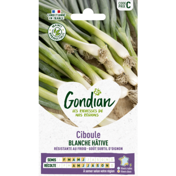 Ciboule Blanche Hâtive - GONDIAN