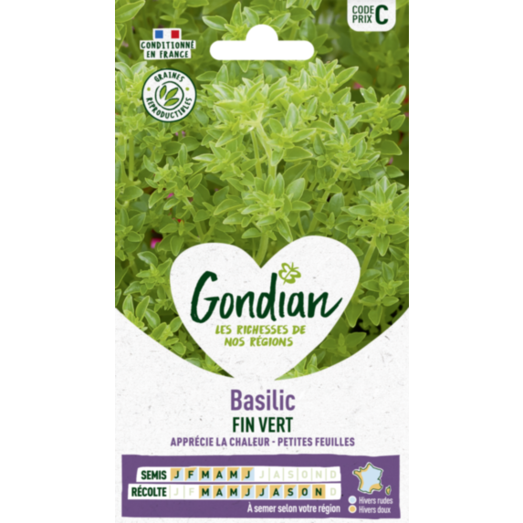 Basilic Fin Vert - GONDIAN