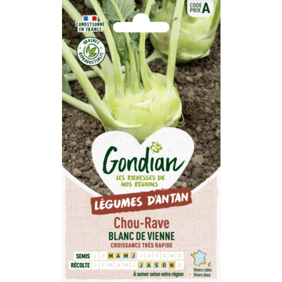 Chou-Rave Blanc Hâtif de Vienne - GONDIAN