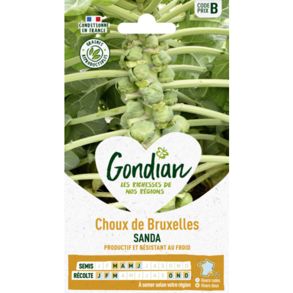 Choux de Bruxelles Sanda - GONDIAN