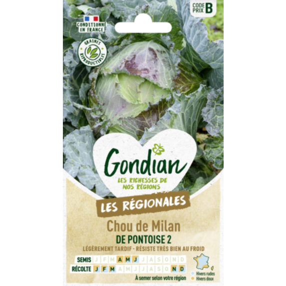 Chou de Milan de Pontoise 2 - GONDIAN