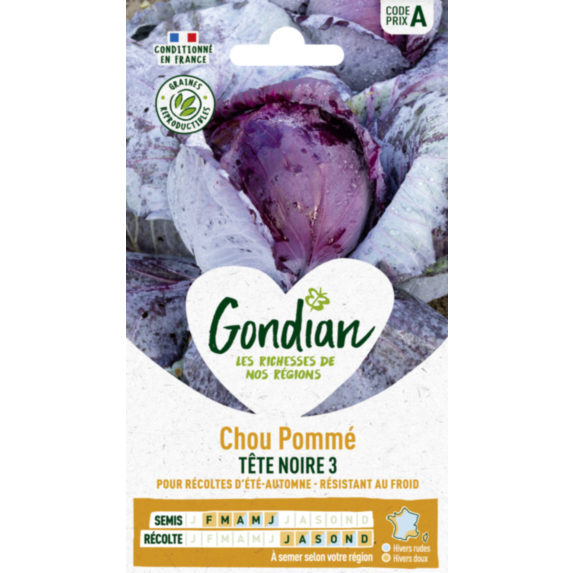 Chou Pommé Rouge Tête Noire 3 - GONDIAN