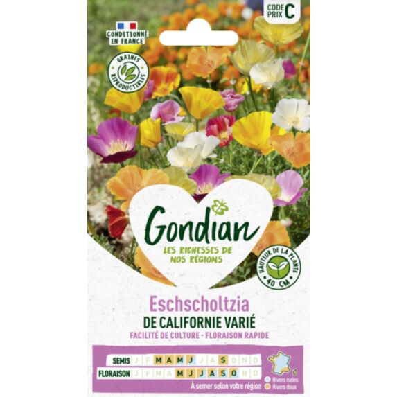 Eschscholtzia de Californie Varié - GONDIAN