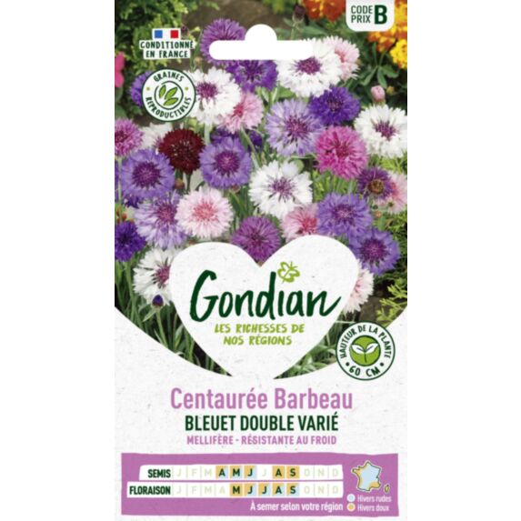 Centaurée Bleuet Double Variée - GONDIAN
