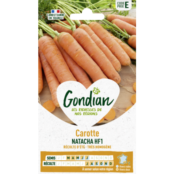 Carotte Natacha HF1 - GONDIAN