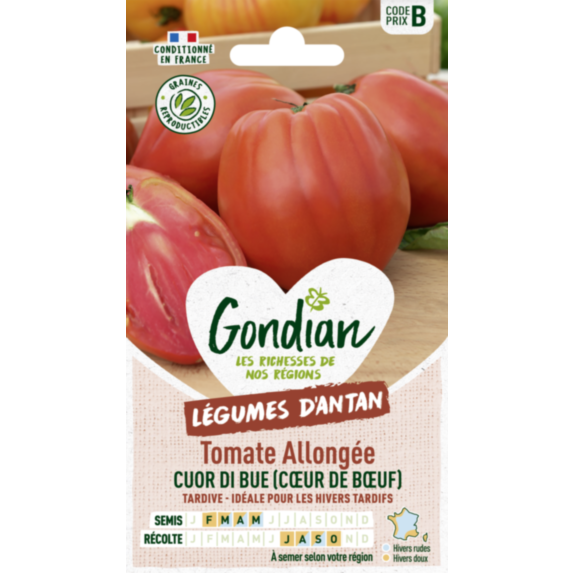 Tomate Cuor di Bue (Cœur de Bœuf) - GONDIAN