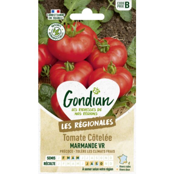 Tomate Marmande - GONDIAN