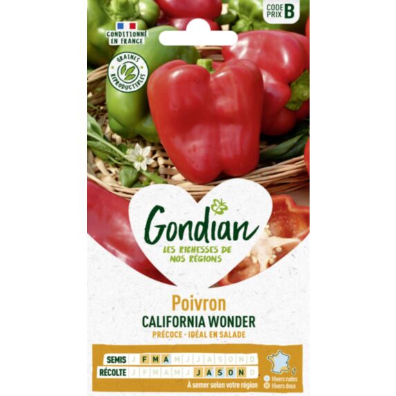 Piment Yolo Wonder - GONDIAN