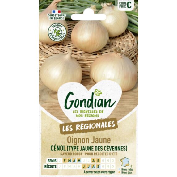 Oignon Cénol (type Jaune des Cévennes) - GONDIAN