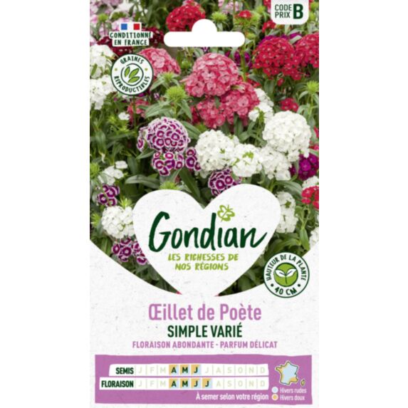 Œillet de Poète Hirondelle en Mélange - GONDIAN