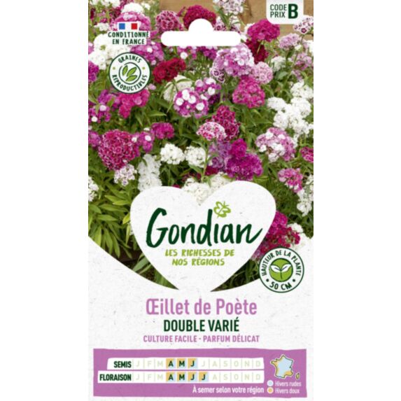 Œillet de Poète Double Varié - GONDIAN
