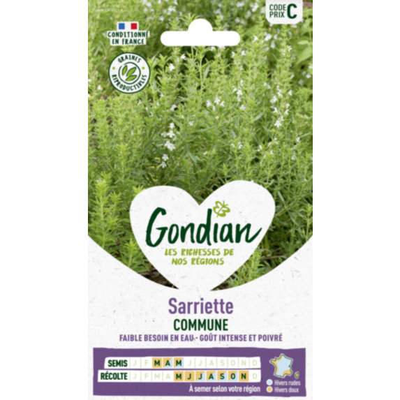 Sarriette Commune - GONDIAN