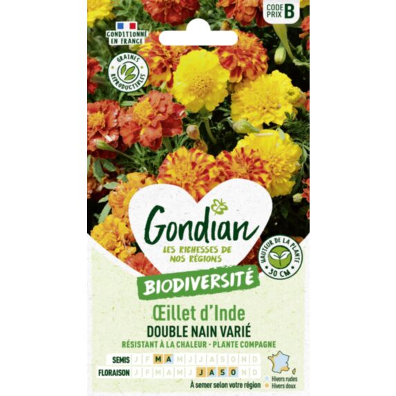 Œillet d'Inde Double Nain Varié - GONDIAN