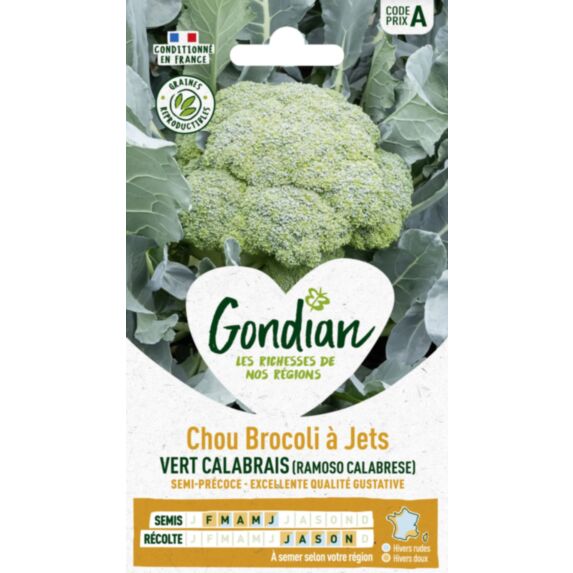 Chou Brocoli Vert Calabrais - GONDIAN