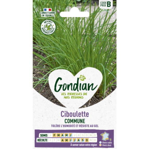 Ciboulette Très Fine Danoise - GONDIAN
