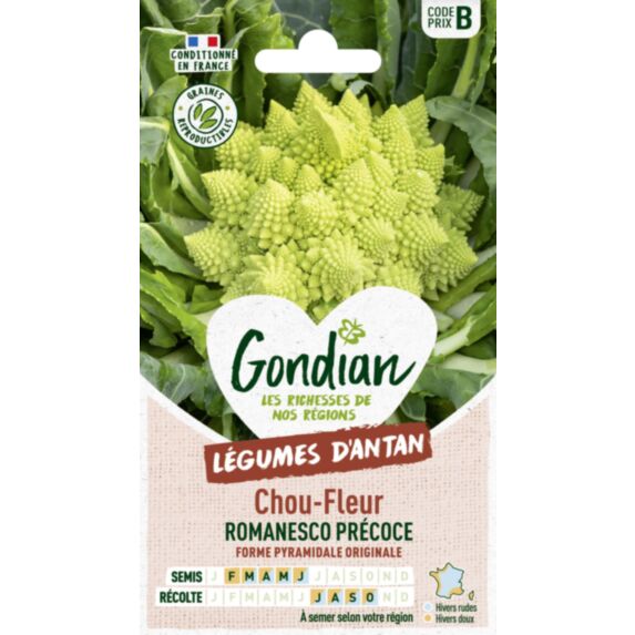 Chou-Fleur Romanesco Natalino - GONDIAN