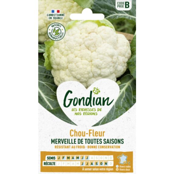 Chou-Fleur Merveille des 4 Saisons - GONDIAN