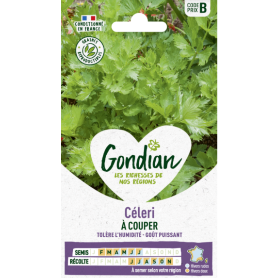 Céleri à Couper - GONDIAN