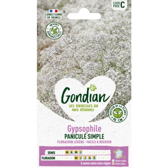 Gypsophile Paniculé Simple - GONDIAN