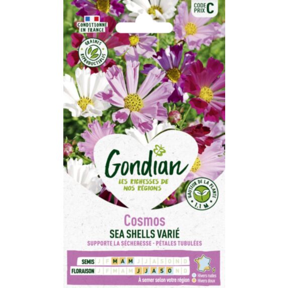 Cosmos Sea Shells Varié - GONDIAN
