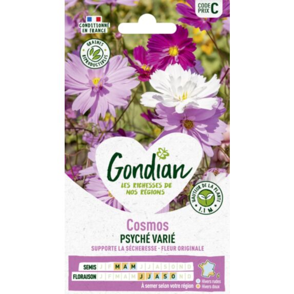 Cosmos Psychée - GONDIAN