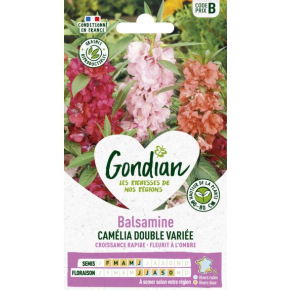 Balsamine à Fleur de Camélia Double Variée - GONDIAN