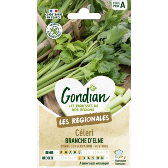 Céleri Branche d'Elne - GONDIAN