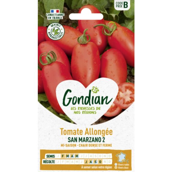 Tomate San Marzano 2 - GONDIAN