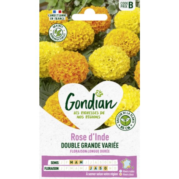 Rose d'Inde Double Grande Variée - GONDIAN