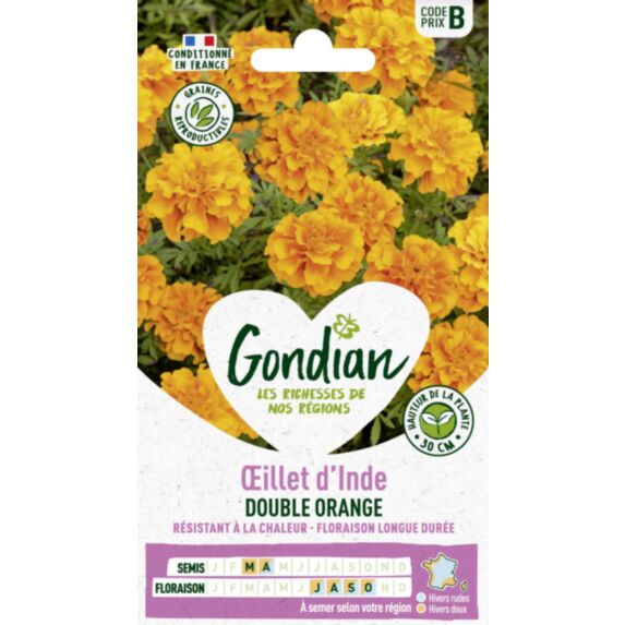 Œillet d'Inde Petite Orange - GONDIAN