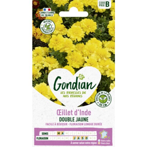 Œillet d'Inde Petite Yellow - GONDIAN