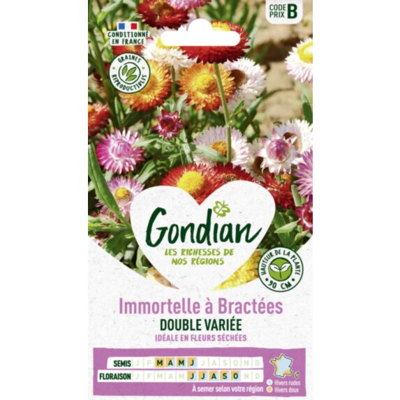Immortelle à Bractées Double Variée - GONDIAN